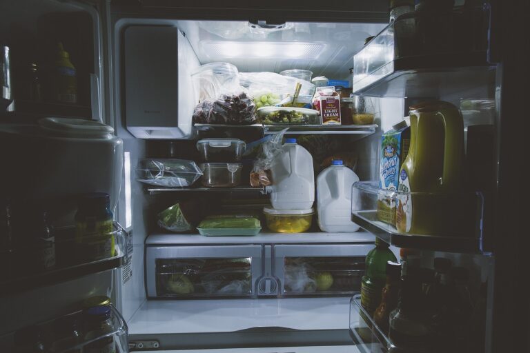 האם חזה עוף מבושל חייב להיות במקרר?