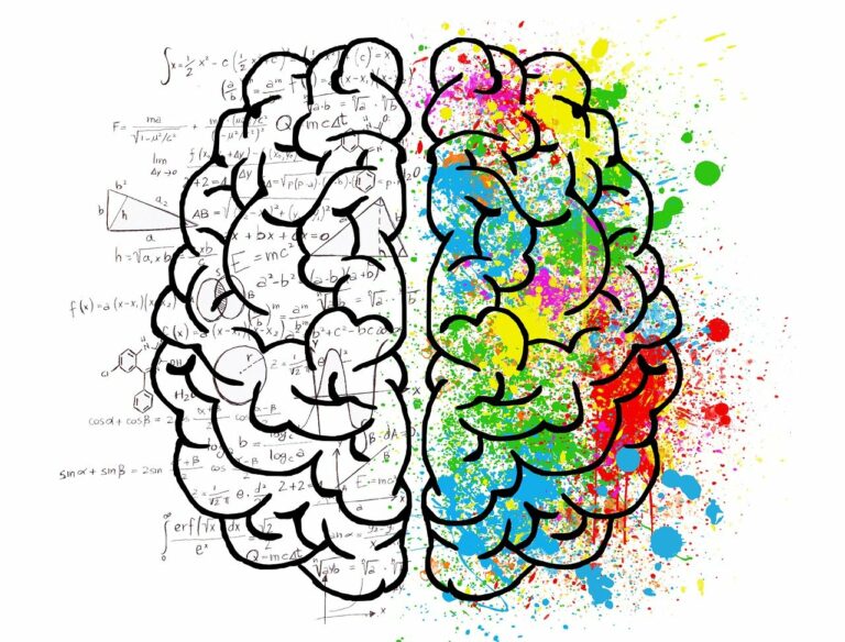 כמה שוקל מוח אנושי? | משקל המוח בק"ג
