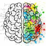 כמה שוקל מוח אנושי?