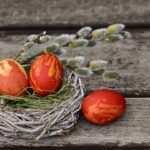 חובה להחזיר ביצים - הטבות, טיפים והנחיות